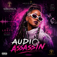 Audio Assassin by LEEYA