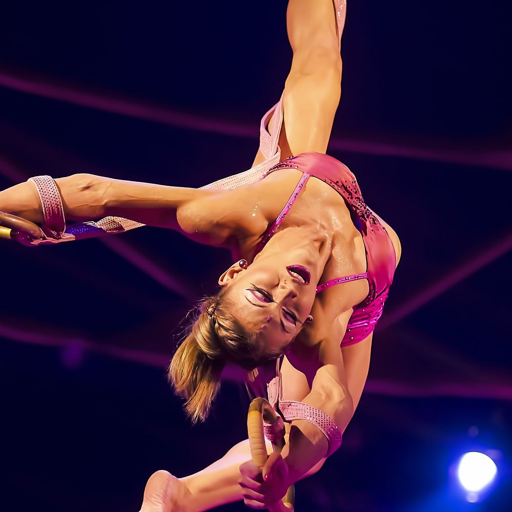 Seattle Event Entertainment Booking | Rayburn Entertainment