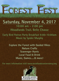 Forest Fest - Woodlands Trail