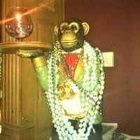 Private Wedding @ The Monkey Hill Bar