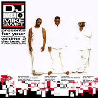 For Your Listening Pleasure Volume 2 - The Best of A Tribe Called Quest Mixed