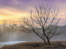Dave King 2026 Photography Calendar