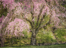 Dave King 2026 Photography Calendar