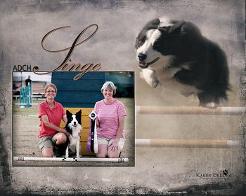 Photo credit Karen Delong Photography
