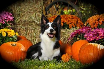 Photo credit Ivey Photography
