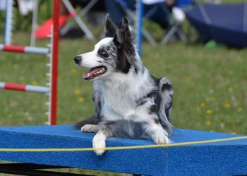 Photo credit Shona Giffin-Thirsk
