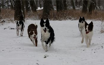 Photo credit Kim Russell
