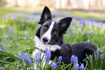 Photo Credit Kelly Bove Photography
