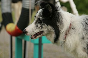 Photo credit John Hill
