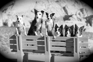 Photo credit Dylan Seymour
