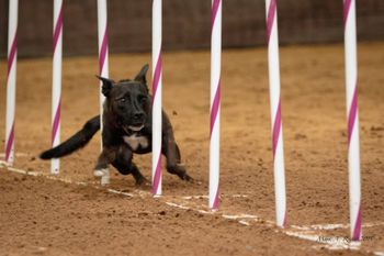 Photo credit Mark Reyna
