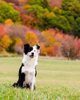 Photo Credit Laci Wentland
