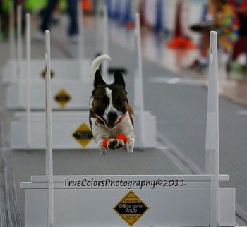 Photo credit True Colors Photography
