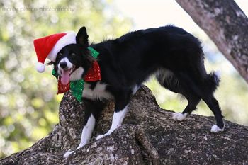 Photo credit Nicole Pierce Photography
