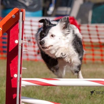 Photo Credit Karen Hocker
