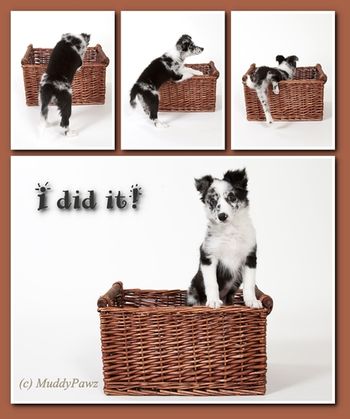 Photo credit Muddypawz
