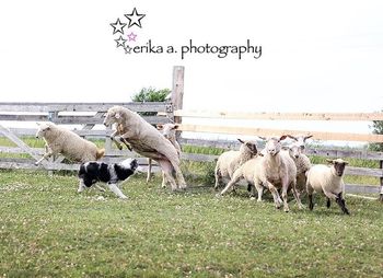 Photo credit Erika A. Photography
