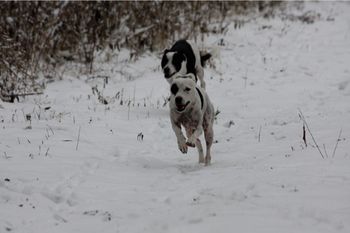 Photo credit Kim Russell
