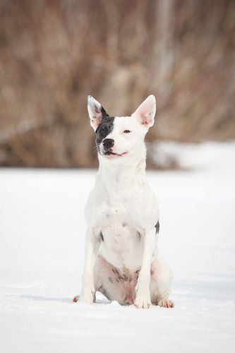 Photo credit Shelley Victoria Photography
