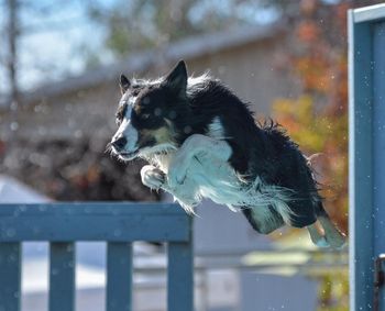 Photo credit Caroline Fenton Photography
