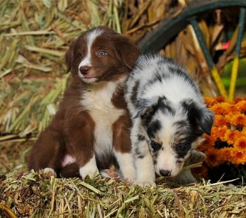 Photo credit: Ivey Photography
