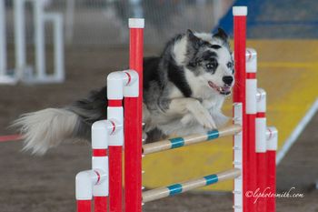 Photo credit LSPhotosmith
