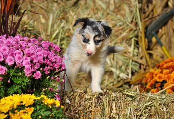 Photo credit: Ivey Photography
