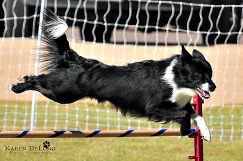 Photo credit Karen DeLong Photography
