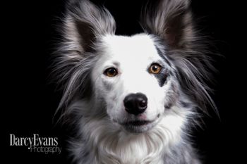 Photo credit Darcy Evans Photography

