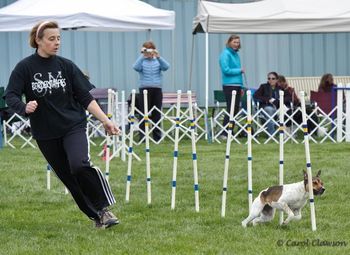 Photo credit Carol Clawson, 1TouchFoto
