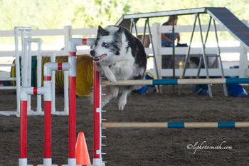Photo credit LSPhotosmith
