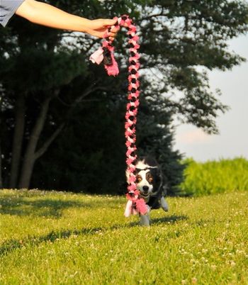 Photo credit Angela Roesch
