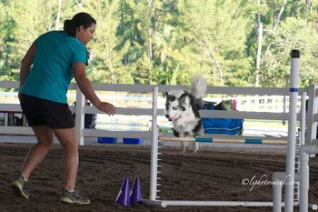 Photo credit LSPhotosmith
