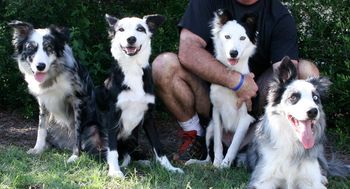 Sooner and Vixen with their puppies Guilty and Vanity
