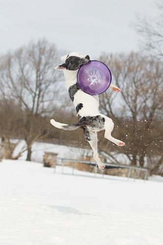 Photo credit Shelley Victoria Photography
