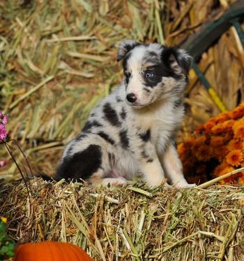 Photo credit: Ivey Photography
