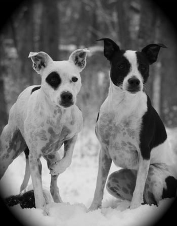 Photo credit Kim Russell
