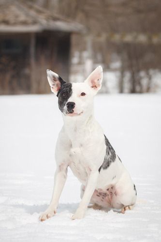 Photo credit Shelley Victoria Photography
