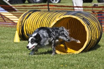 'Guilty' out of Vixen
