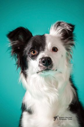 Photo Credit: Karen Hocker
