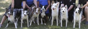 Sooner Puppies: (L-R) Tension, Viva, Triumph, Trivia, Malice, Caffine, Metrik

