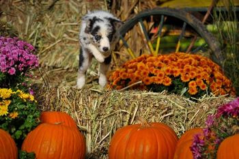 Photo credit: Ivey Photography
