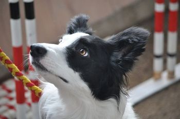 Photo credit Shona Giffin-Thirsk
