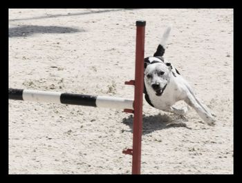 Photo Credit Brandy Yeager
