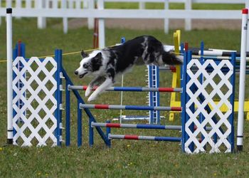 Photo credit Shona Giffin-Thirsk
