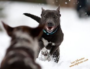 photo credit TTL Photography
