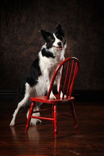 Photo credit Ivey Photography

