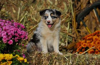Photo credit: Ivey Photography
