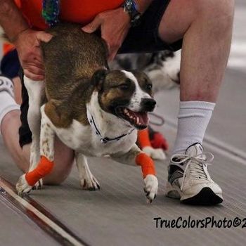 Photo credit True Colors Photography
