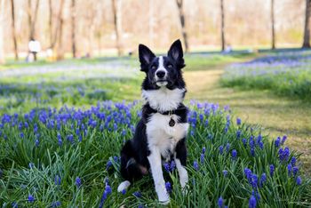 Photo Credit Kelly Bove Photography
